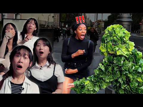 Korean Girls React To Funny Prank Compilation | 𝙊𝙎𝙎𝘾
