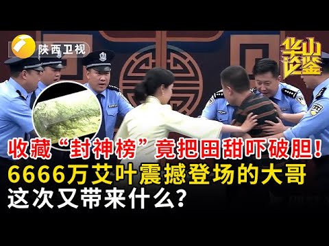 收藏 “封神榜” 竟把田甜吓破胆！曾携6666万艾叶震撼登场的大哥，这次又带来什么惊天猛料？【华山论鉴】