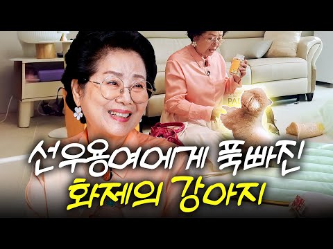 SNS화제 천재견 토리가 주인보다 선우용여 말만 듣게 된 이유는? (+훈육의 달인, 원샷한솔)