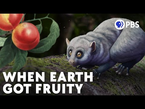 How Dinosaur Extinction Gave Us Fruit