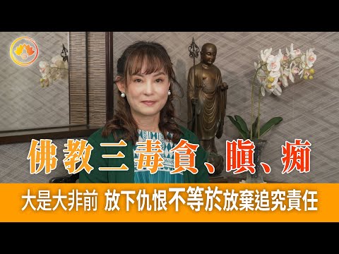 佛教三毒貪、瞋、痴｜大是大非前  放下仇恨不等於放棄追究責任｜盡量不要帶着情緒去辦事｜法理與佛理對待仇恨的界定￼