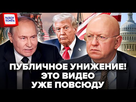 😱ПЕРЕПУГАННЫЙ Небензя схватил ТЕЛЕФОН и началось! Такого в ООН еще НЕ ВИДЕЛИ. Эти кадры стали МЕМОМ