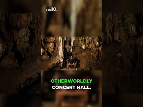 World's Largest Musical Instrument in Virginia