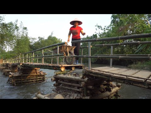 TIMELAPSE: Girl design and build a bridge across a small river to the island off grid in 31 days