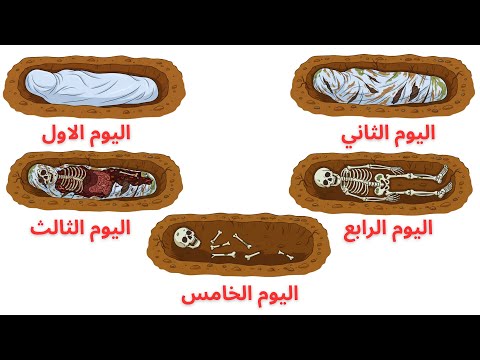 خمسة أيام في القبر ماذا يحدث لك بعد الموت؟