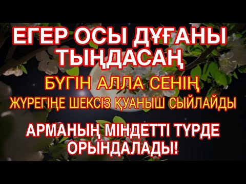 БҮГІН ДҰҒАНЫ ТЫҢДА – АЛЛА САҒАН ШЕКСІЗ ҚУАНЫШ БЕРЕДІ, АРМАНЫҢ 100% ОРЫНДАЛАДЫ!