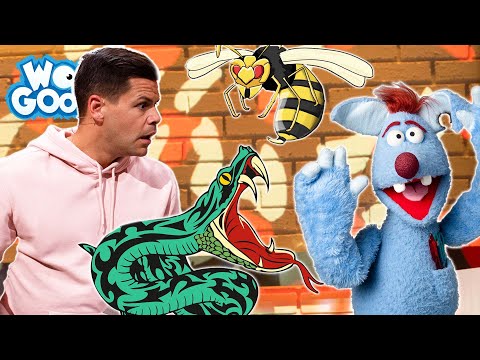 Was ist das giftigste Tier? l WOOZLE GOOZLE