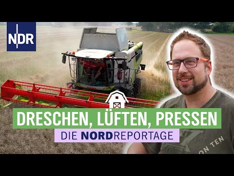 Strohprofis im Erntestress | Die Nordreportage | NDR