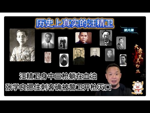 共六集|第六集|历史上真实的汪精卫