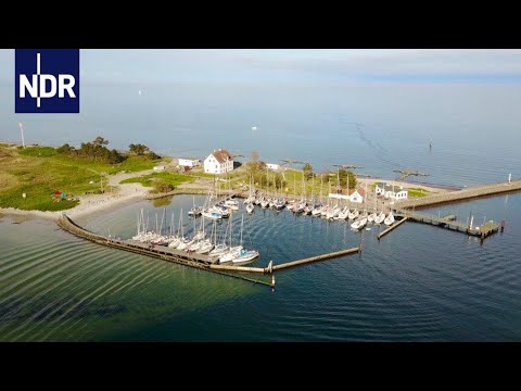 Frischer Wind auf der Lotseninsel | Die Nordreportage | NDR