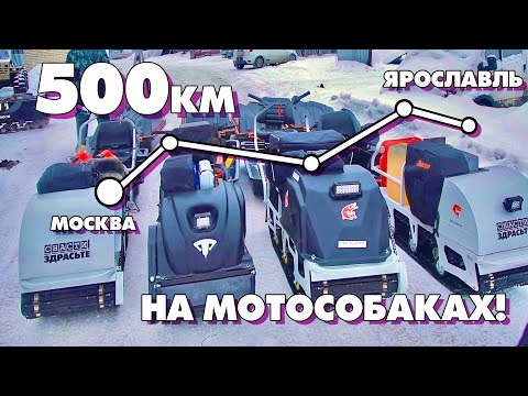 500km on MOTORDOGS! From Moscow to Yaroslavl with ADVENTURES! Episode 1