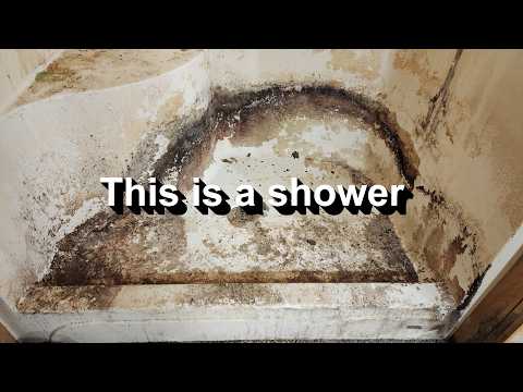 We Filled 6 Dumpsters Cleaning this Hoarded House