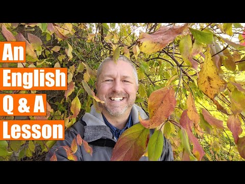 An English Lesson with Bob