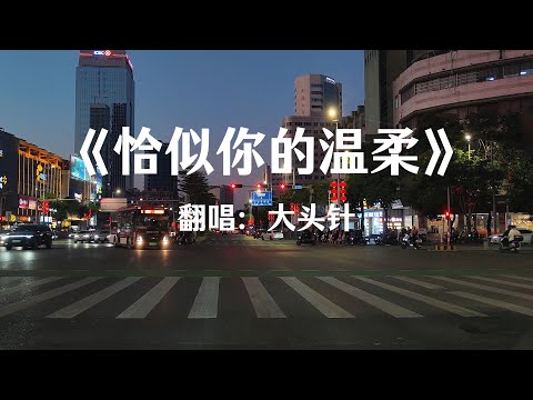 【恰似你的温柔】大头针 男声翻唱 舒服的旋律 陶醉的声线#中文歌推荐