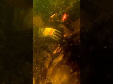 This Gold Prospecting Technique Is So Easy It Feels Like Cheating..