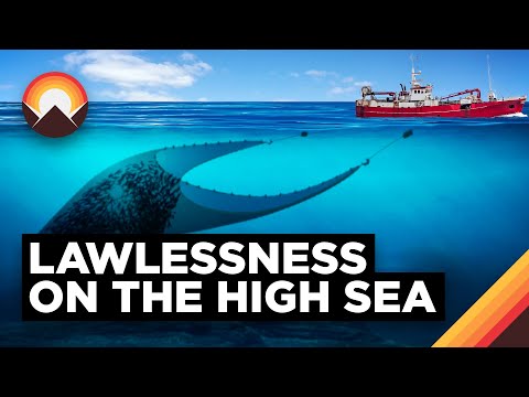 The Broken Economics of the Oceans