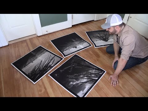 Fine Art Photography: Ocotillo Prints