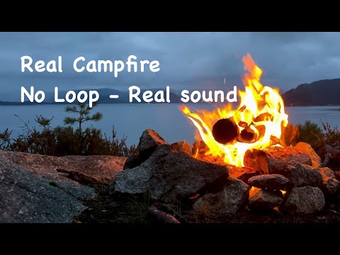 Autumn Evening Campfire TV | 1 Hour Real Fire & Gentle Distant Rain over the Ocean (HD, No Loop)