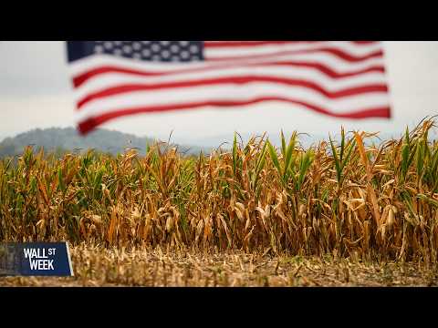 Iran War Sends Shockwaves From Energy Markets to Global Food Supply