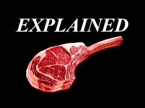 The REAL Reason The Carnivore Diet Works So Well