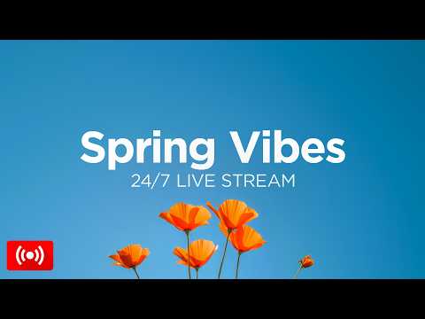 Winter Vibes Mix 2026 ❄️ 24/7 Live Stream ☃️ Chill Winter Music to Relax and Work by We Are Diamond