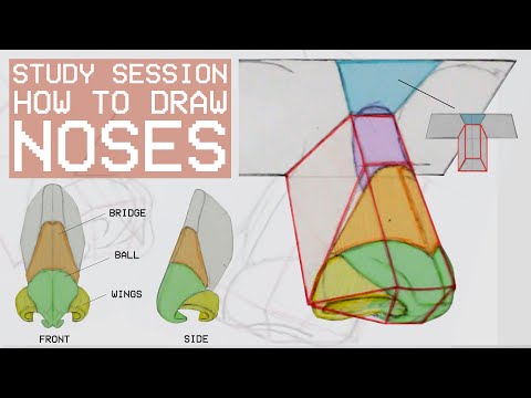 How To Draw Noses - Anatomy For Artists (Study Session)