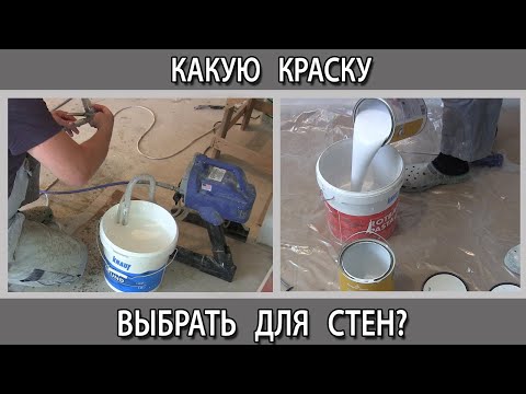 Как и какую краску выбрать для стен в квартире. Виды красок для ремонта