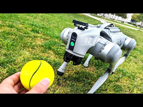 Asi son los Perros Robot | 140.000$ vs 3.000$ (Boston Dynamics vs Copias)