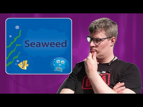 Ceph vs. SeaweedFS: Which Offers Better Performance?