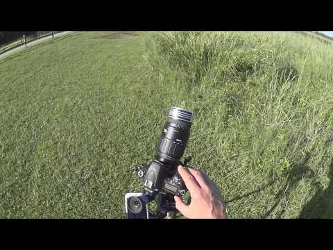 Solar Eclipse Timer App - Live Practice Demo!