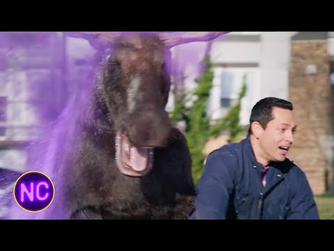 "Did You Guys See A Mouse?!" | Harold And The Purple Crayon | Now Comedy