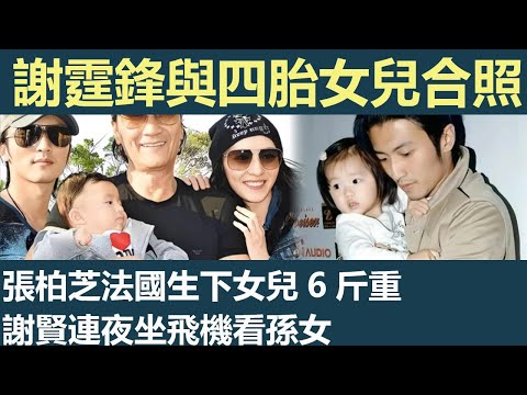 謝霆鋒與四胎女兒合照，張柏芝法國生下女兒6斤重，謝賢連夜坐飛機看孫女，張柏芝發朋友圈女兒小手，香港四大家族祝賀謝家大喜