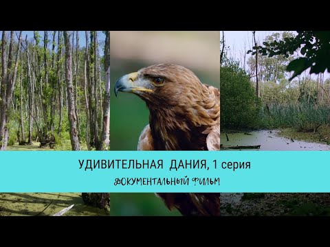 Удивительная Дания, 1 серия / Рейтинг 9,8 / Документальный фильм (2020)