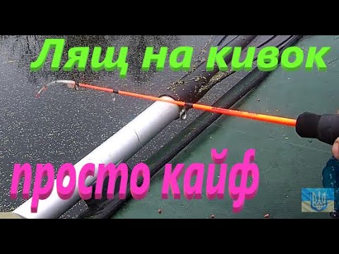 Bream on a winter fishing rod # The jig doesn't have time to reach the bottom #IFishAsICan