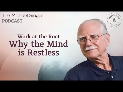 Work at the Root - Why the Mind Is Restless | The Michael Singer Podcast