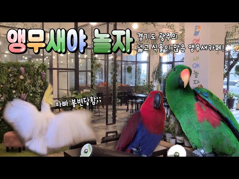 [지구젤리/앵카] 앵무새야 놀자에서 신나게 놀고 왔어요!