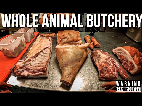 POV: Butchering a Pig for a Restaurant