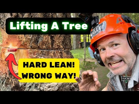 Don’t miss this one . Heavy lean wrong way.