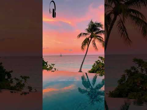 A Moment to Relax 🌿