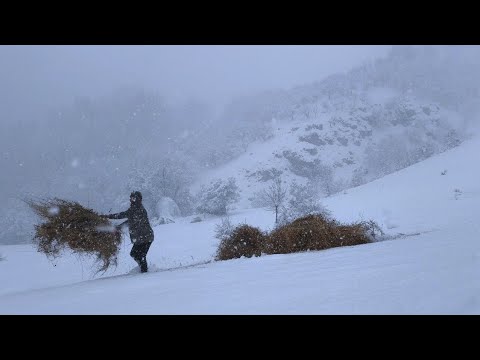 Yoğun kar yağışı altında köyde zorlu kış yaşamı. Life in the village in heavy snow #snowfall