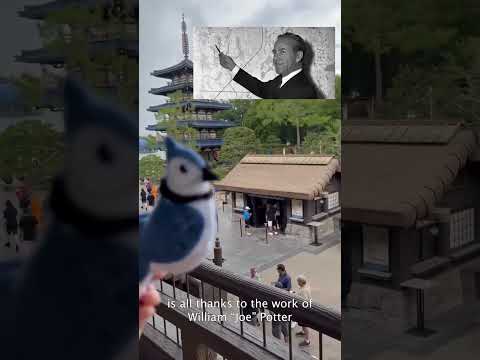 Disney World's Best Secret