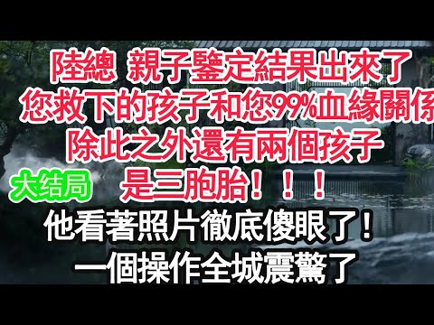 大結局 “陸總，十分鐘前，龍盛集團總部的系統被黑了”“不惜代價給我查！”“座標顯示在您家別墅，監控截圖顯示是您三兒子！”【顧亞男】【大女主】【爽文】【婚姻自主】