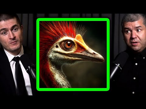 Are birds dinosaurs? | Dave Hone and Lex Fridman