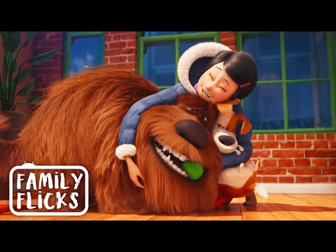 Bringing Home Another Dog | The Secret Life Of Pets (2016) | Family Flicks