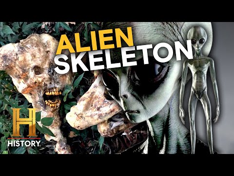UNBELIEVABLE Creature Hoaxes | The Proof Is Out There | History