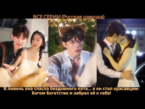 В ливень она спасла бездомного кота… а он стал красавцем-Богом Богатства и забрал её к себе!