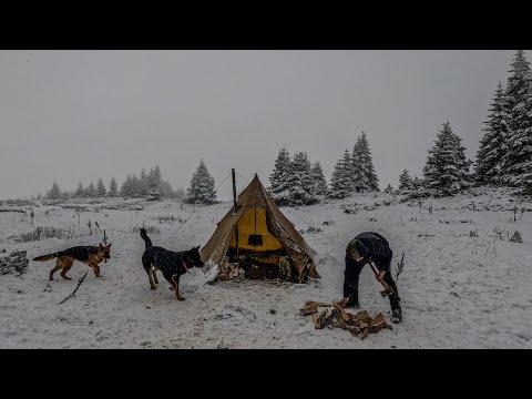 2 Days Winter Camping in a Snowstorm at 1847m | Hot Tent Survival Camping with Dogs
