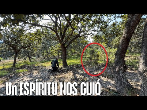 "ESTUVIMOS siguiendo SEŃALES Que Nos Fueron GUIANDO directamente al DINERO"