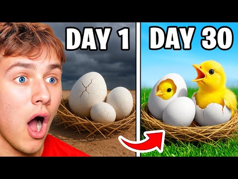 He Hatched The World Biggest vs Smallest Egg