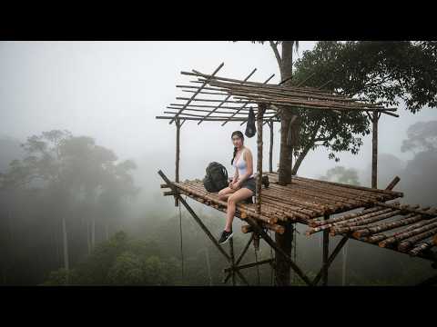 TIMELAPSE - Building a Shelter Above Ground in the Rainforest